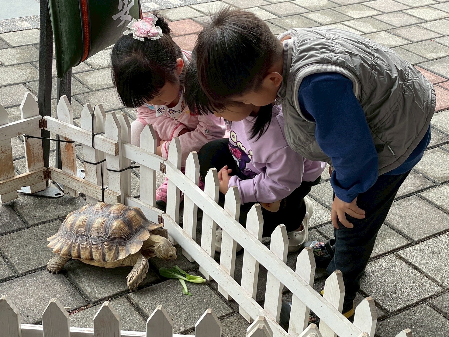 「好客民宿嘉年華」全台巡迴圓滿落幕！ 吸引近4,000人次參與，線上抽獎得獎名單公布